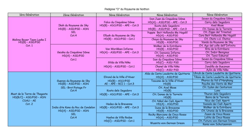 Pedigree des "O" du Royaume de Northon
